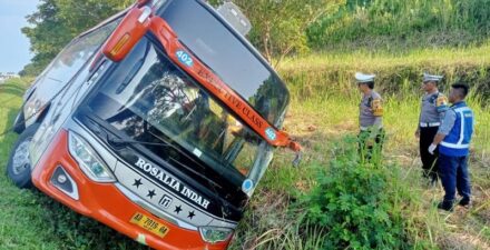 Bus Rosalia Indah Kecelakaan.