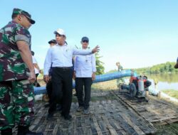 Mentan Amran Sulaiman Targetkan Tiga Kali Panen per Tahun di Lamongan