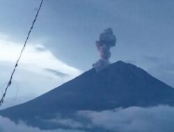Erupsi Guncang Gunung Semeru, Status Siaga Ditetapkan