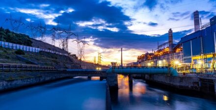 Jaga Kelancaran Pasokan, PLN EPI Siapkan Rantai Pasok Biomassa untuk PLTU Paiton