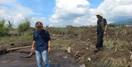 Dampak Banjir Lahar Dingin, Petani Agam Rugi Ratusan Hektar Lahan Pertanian