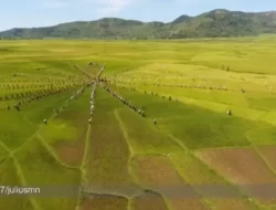 Lingko Meler, Pesona Spiral Sawah Manggarai yang Memikat