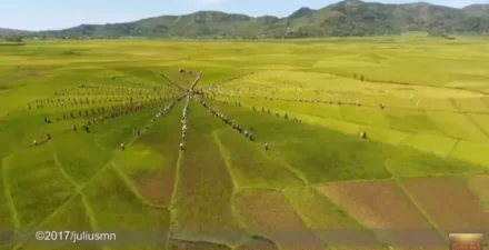 Pesona Spiral Sawah Manggarai