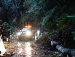 Cuaca Ekstrem Picu Tanah Longsor, Jalur Batusangkar-Lintau Buo Terputus