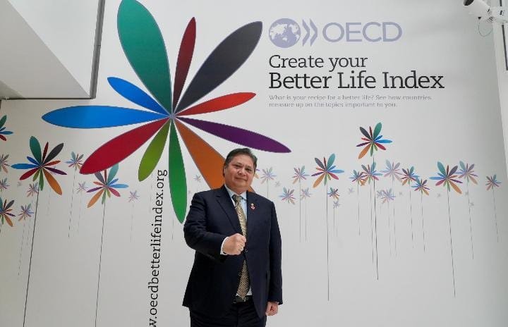 Menko Airlangga di Pertemuan Tingkat Menteri OECD.