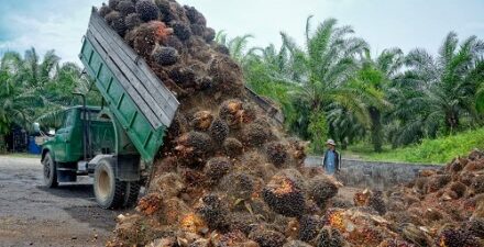 Relaksasi Pajak Bisa Percepat Hilirisasi dan Swasembada Pangan.