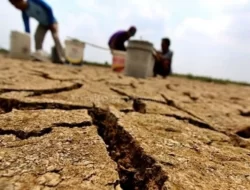 Musim Kemarau Mendekat, BNPB Ingatkan Potensi Kekeringan di Jawa
