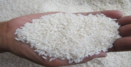 Presiden Jokowi Lanjutkan Bantuan Beras 10 Kg untuk 22 Juta Keluarga