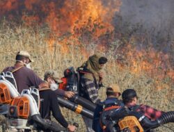 Serangan Israel di Lebanon Selatan Tewaskan Komandan Hizbullah