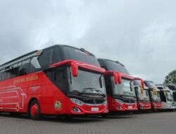 PO Gunung Harta, Pemain Utama dalam Industri Transportasi Bus di Bali