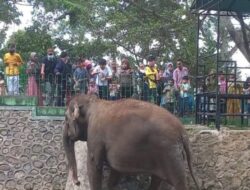 Peningkatan Kapasitas SDM TMSBK untuk Pariwisata Terintegrasi