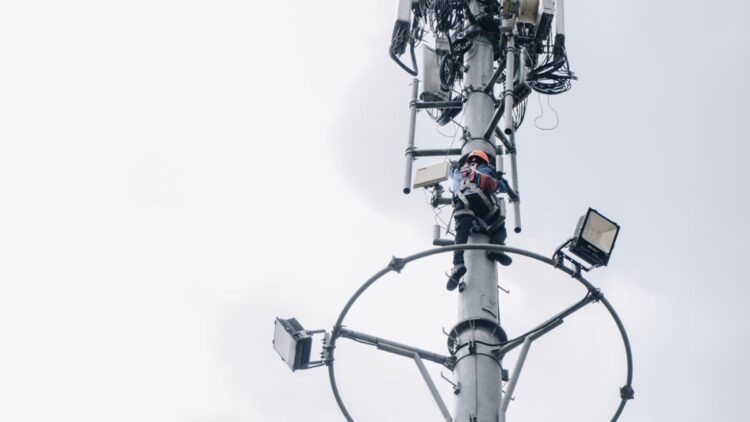 Pohon Tertimpa Sutet