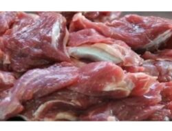 Cara Mengolah Daging Kambing Menurut Devina Hermawan