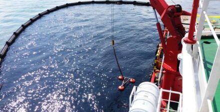 Ilustrasi Tumpahan Minyak.