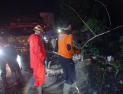 Pohon Tumbang di Padang, Pemuda 20 Tahun Terluka