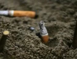 Kenaikan Cukai Rokok Dibahas dalam RAPBN 2025, Apa Dampaknya?