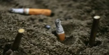 Harga Rokok Diprediksi Meningkat di 2025.