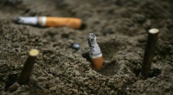 Harga Rokok Diprediksi Meningkat di 2025.