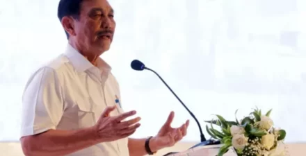 Peringatan Luhut ke investor China.
