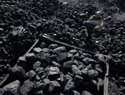 Presiden Direktur IATA, Harga Batu Bara Akan Pulih Akhir Juli 2024