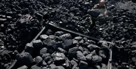 MNC Energy Prediksi Harga Batu Bara Naik Lagi di Akhir Juli.