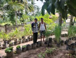 KWT Pendukung Wujudkan Ketahanan Pangan Keluarga di Kota Pariaman