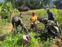 Galakkan Ketahanan Pangan, Satgas 323 Buaya Putih Bagikan Bibit Sayur