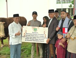 Gubernur Mahyeldi Serahkan Sapi Qurban Presiden RI serta 78 Ekor Sapi Qurban ASN dan BUMD