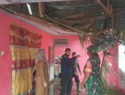 Pj Wako Jasman Turun Saat Warganya Ditimpa Pohon