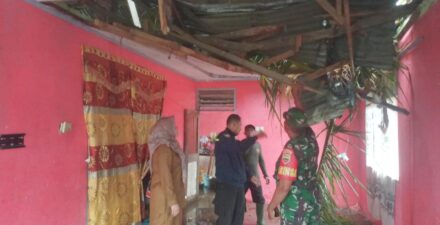 Pj Wako Jasman Turun Saat Warganya Ditimpa Pohon