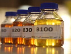 Hilirisasi Sawit Terkendala Regulasi Deforestasi Uni Eropa