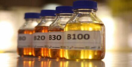 Hilirisasi Sawit Terkendala Regulasi Deforestasi Uni Eropa