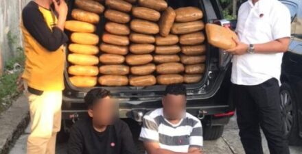 Ganja dari Panyabungan Akan Diedarkan di Sumbar, 4 Tersangka Diamankan