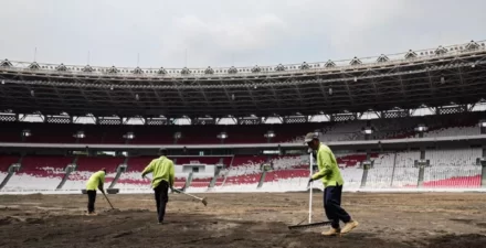 Stadion Utama Gelora Bung Karno tengah revitalisasi rumput lapangan jelang laga kandang Timnas Indonesia.