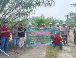 Pasaman Barat Targetkan Peremajaan 750 Hektare Kelapa Sawit Rakyat