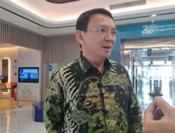 Insentif Pemerintah Dorong Investasi Mobil Listrik China di Indonesia