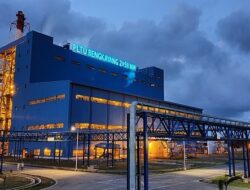 Inovasi Hijau, PLN EPI Gunungkidul Olah 150 Ribu Pohon untuk Energi Biomassa