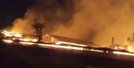 Pabrik Karton Terbakar di Kabupaten Pasuruan, Warga Panik