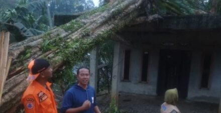 Pohon Tumbang Timpa Rumah Warga Bogor saat Cuaca Ekstrem