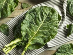 Mengenal Vitamin U, Manfaatnya untuk Sistem Imun dan Pencernaan