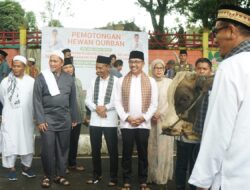 Pemkab Solsel dan Forum TJSLP Tebar Sapi Kurban