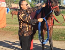 Staf Ahli Menparekraf : Berkuda Daya Tarik Pariwisata Potensial Di Payakumbuh