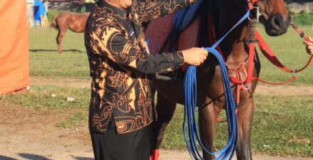 Staf Ahli Menparekraf : Berkuda Daya Tarik Pariwisata Potensial Di Payakumbuh