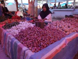 Penataan Parkir di Pasar Muara Labuh Penting