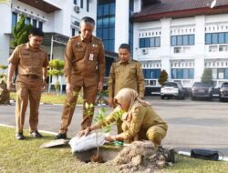 Pemko Pariaman Terus Lakukan Penghijauan di Kawasan Balaikota dengan Tanam Jeruk Gunung Omeh