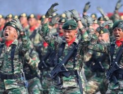 Hierarki Pangkat TNI, Perwira, Bintara, dan Tamtama