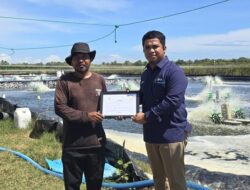 Program Electrifying Agriculture PLN Kurangi Biaya Operasional Tambak Udang hingga Rp15,8 Juta