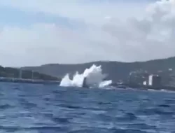 Kecelakaan Pesawat Fouga Magister Batalkan Pertunjukan Udara di Prancis