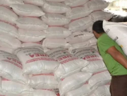 Pupuk Bersubsidi di Pasaman Barat Alami Penambahan Alokasi Signifikan di 2024