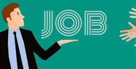 Peluang Karir di PT PELNI, Lowongan untuk Nakhoda Kapal dan Kepala Kamar Mesin